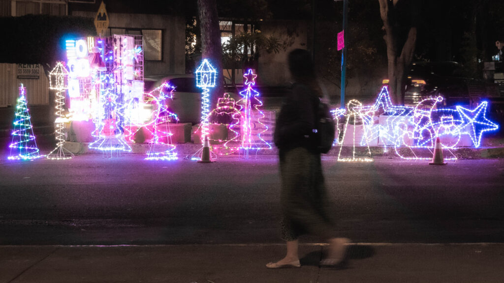 20231121 dsc 1198