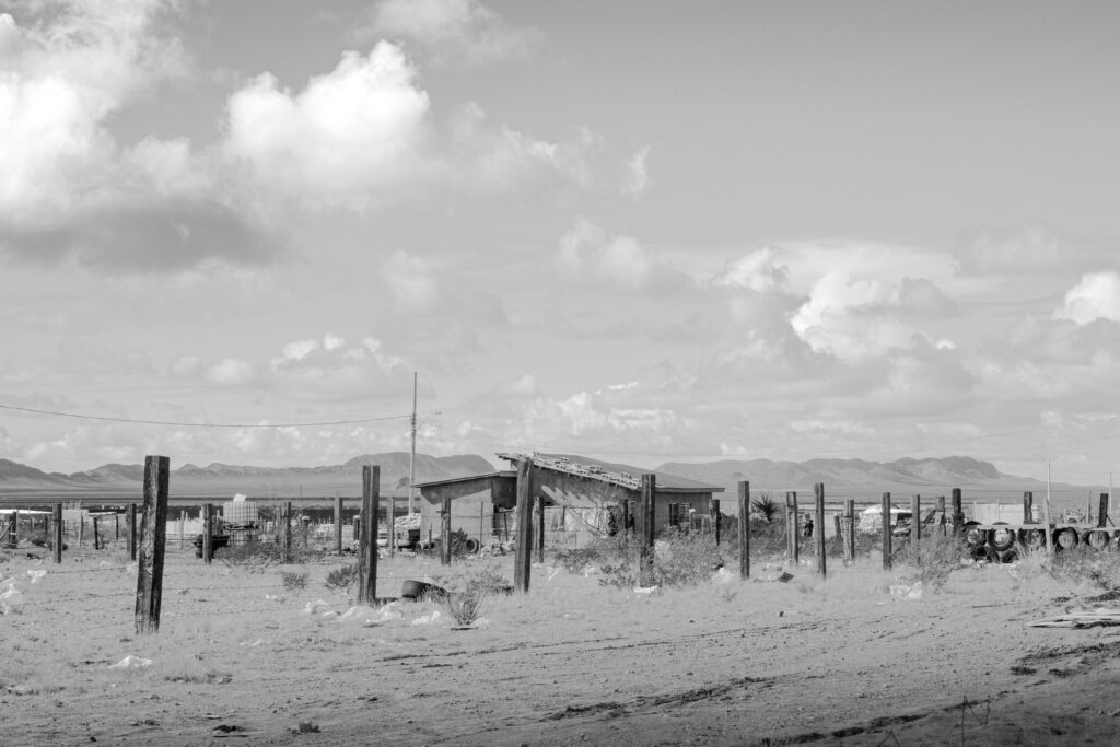 dsc 7398