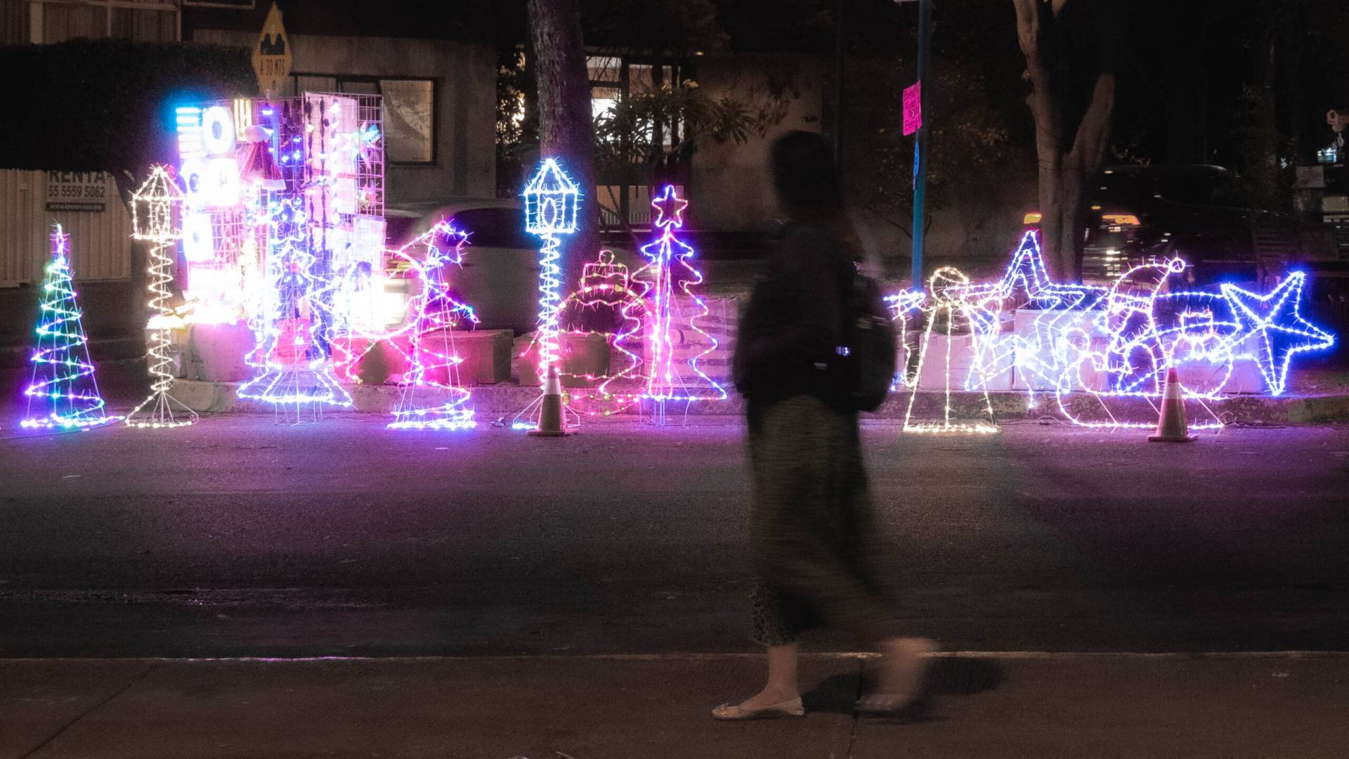  dsc3381
